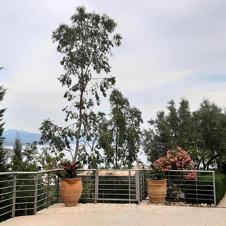 Stone House In Olive Grove Villa โตโล ภายนอก รูปภาพ
