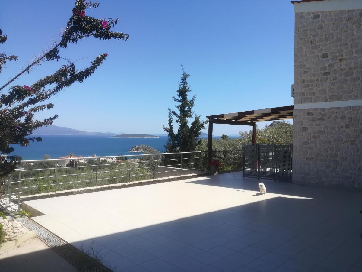 Stone House In Olive Grove Villa โตโล ภายนอก รูปภาพ
