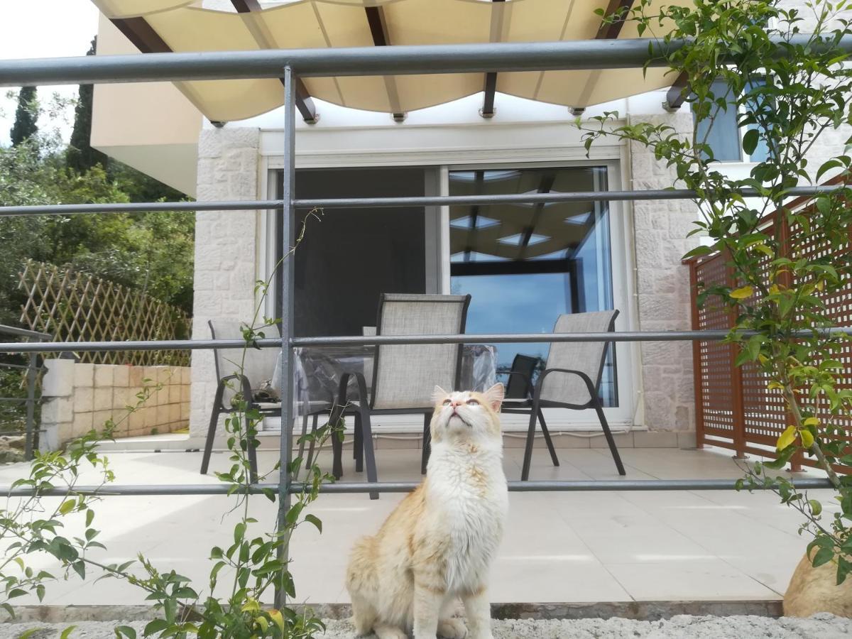 Stone House In Olive Grove Villa โตโล ภายนอก รูปภาพ