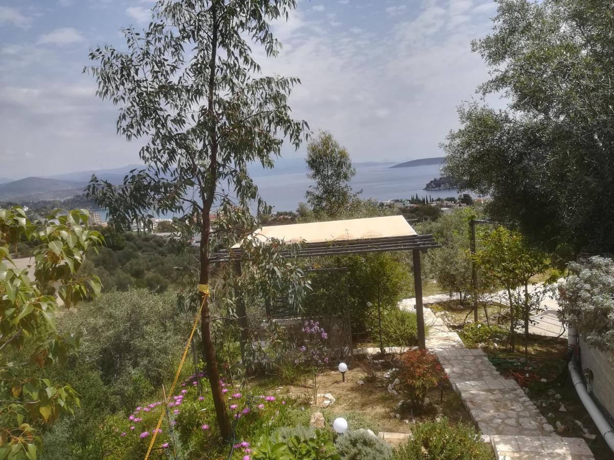 Stone House In Olive Grove Villa โตโล ภายนอก รูปภาพ