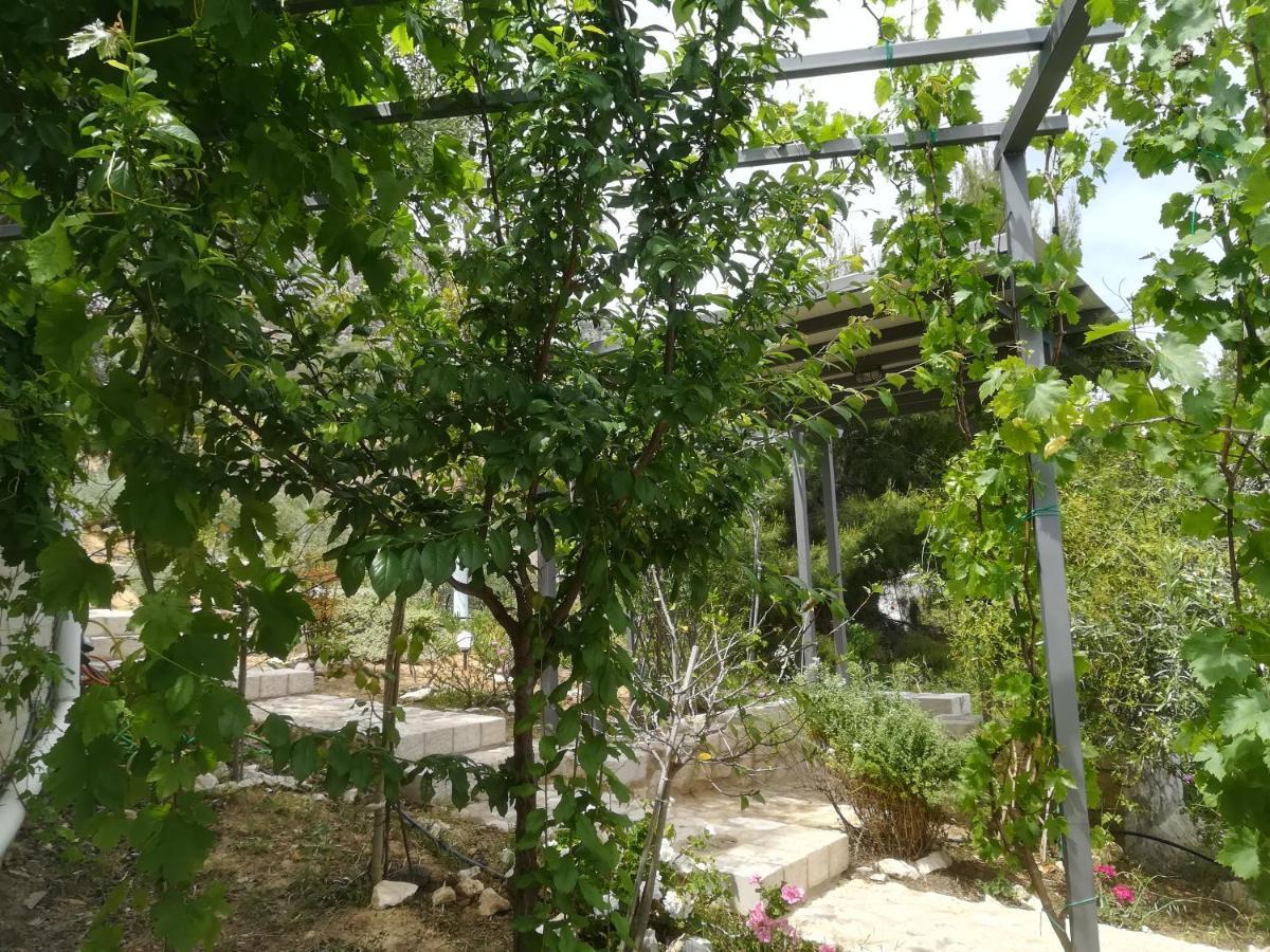 Stone House In Olive Grove Villa โตโล ภายนอก รูปภาพ