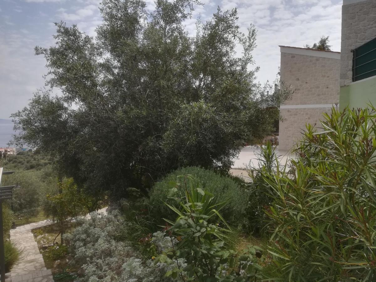 Stone House In Olive Grove Villa โตโล ภายนอก รูปภาพ