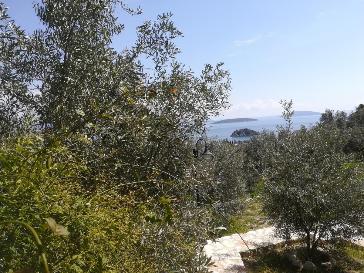 Stone House In Olive Grove Villa โตโล ภายนอก รูปภาพ