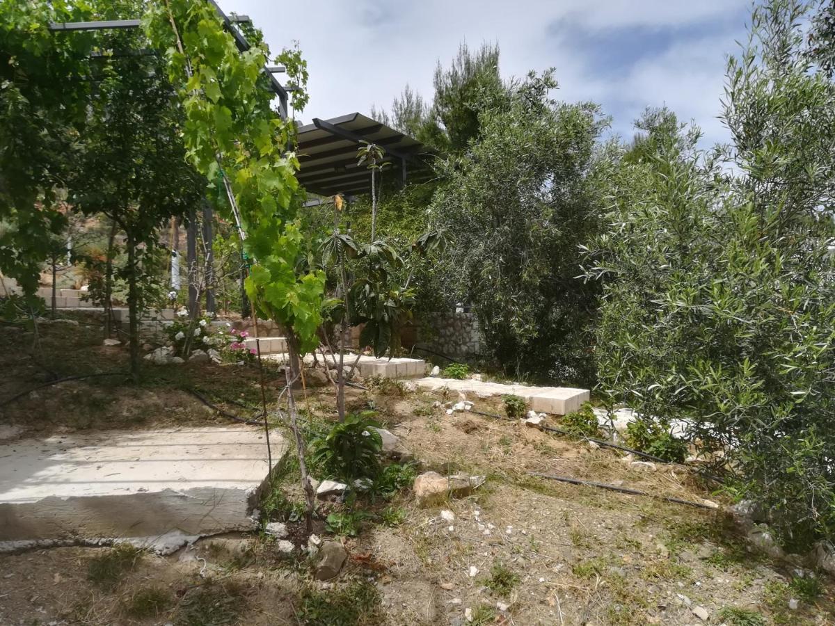 Stone House In Olive Grove Villa โตโล ภายนอก รูปภาพ
