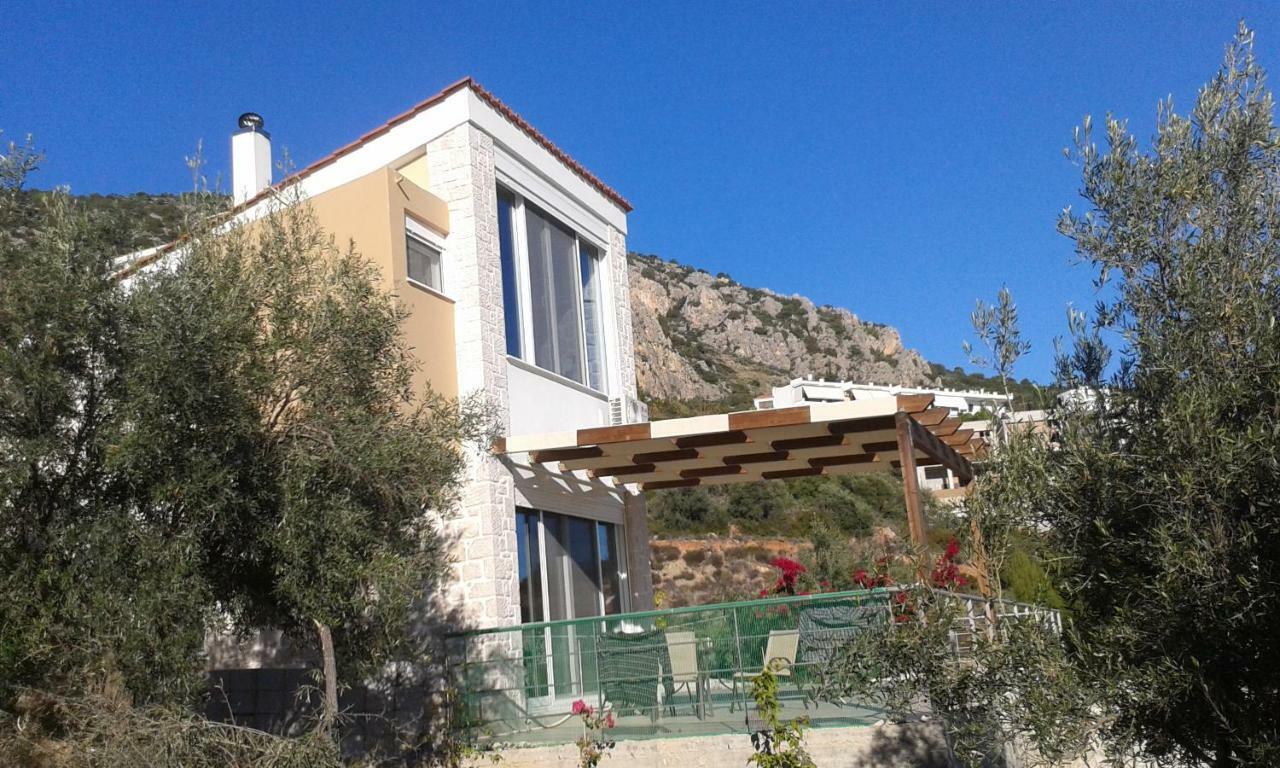 Stone House In Olive Grove Villa โตโล ภายนอก รูปภาพ