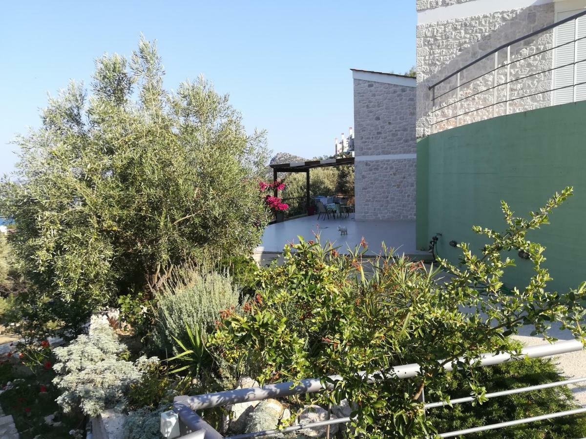 Stone House In Olive Grove Villa โตโล ภายนอก รูปภาพ