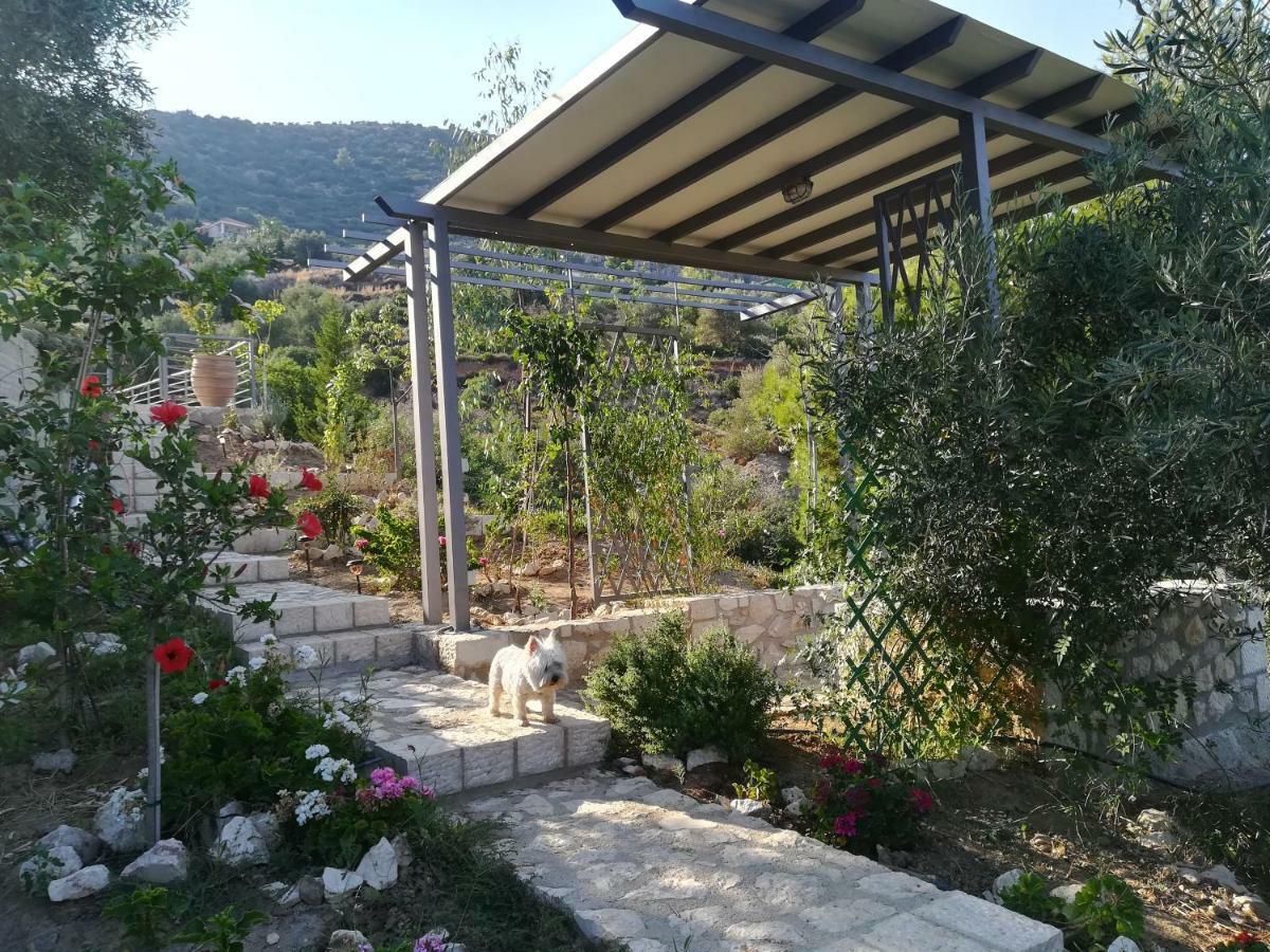 Stone House In Olive Grove Villa โตโล ภายนอก รูปภาพ