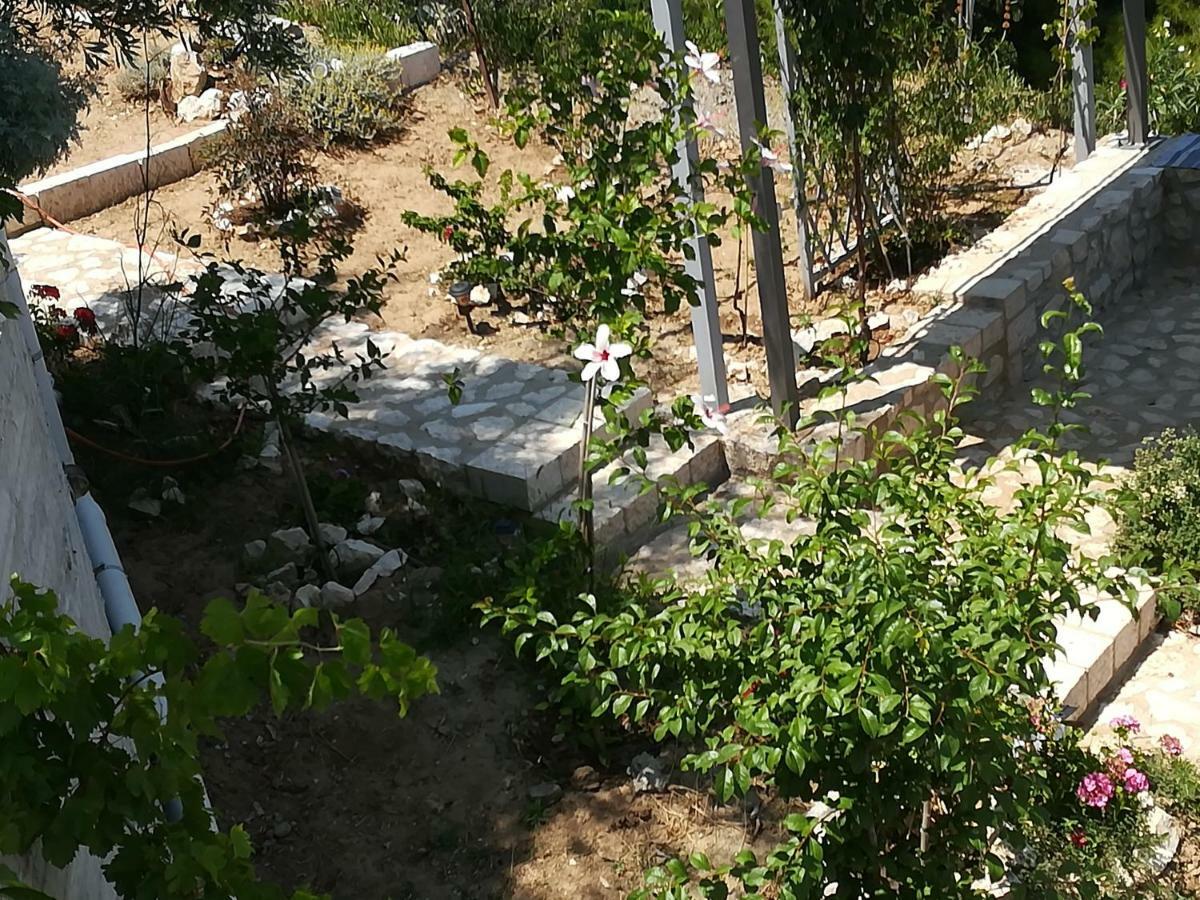 Stone House In Olive Grove Villa โตโล ภายนอก รูปภาพ