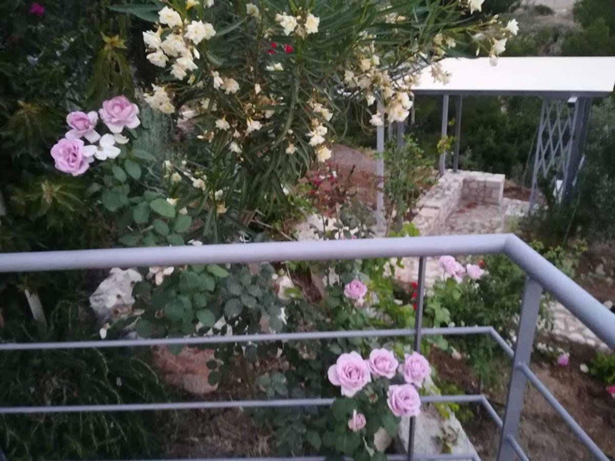 Stone House In Olive Grove Villa โตโล ภายนอก รูปภาพ